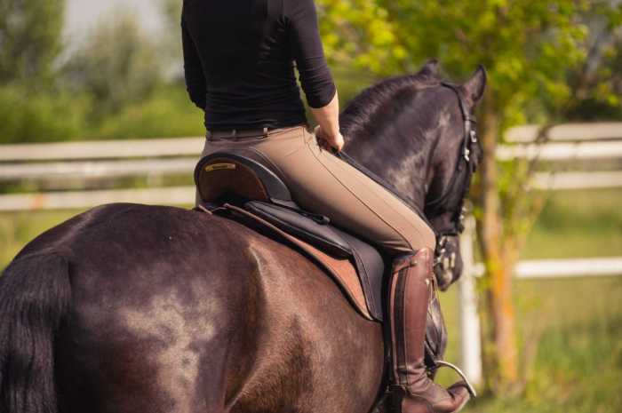 Wanderreitsattel: anpassbare und bequeme Sättel für Ihr Pferd