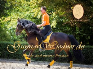 Gunnar Wiedner mit Iberosattel® - Pferde sind unsere Passion