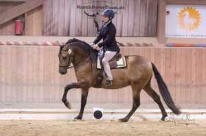 Susanne Schnell auf Tamino (Working Equitation)